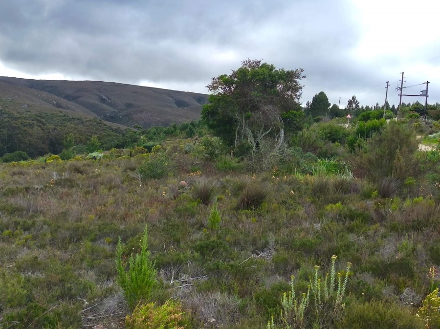 0 Bedroom Property for Sale in Baardskeerdersbos Western Cape